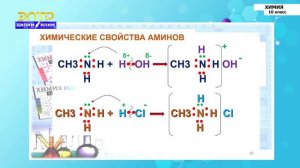 10-класс | Химия |  Азотсодержащие соединения. Амины, строение и свойства