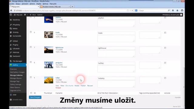 WordPress NextGEN смотреть онлайн