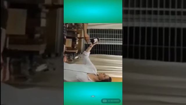 Смотрим канал приколы с озвучкой от pso коты и магия смотреть онлайн