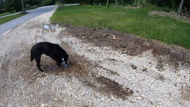 Building A Shop: Gravel Drive Access смотреть онлайн