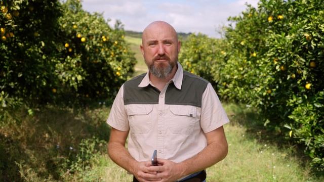 Pixofarm | Counting смотреть онлайн