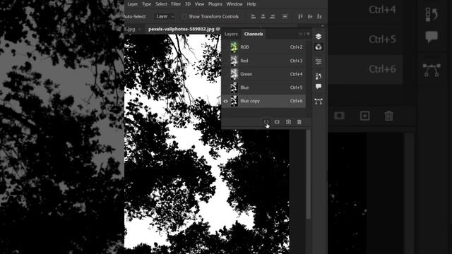 Remove Tree's Background in Photoshop 2023 смотреть онлайн