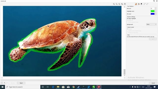 How To Remove Background Using CorelDraw