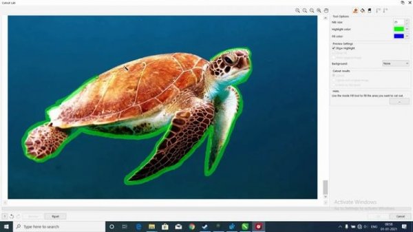 How To Remove Background Using CorelDraw