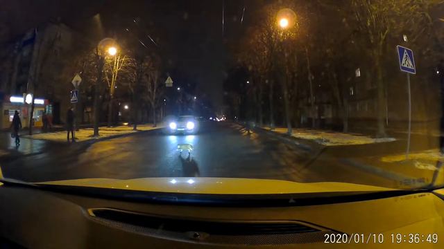 Пешеходы: Кот против Человека смотреть онлайн