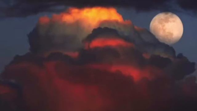 21 октября 2021 г. смотреть онлайн