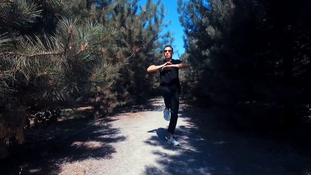 Andro - Вою на луну | Танец - Sunnat