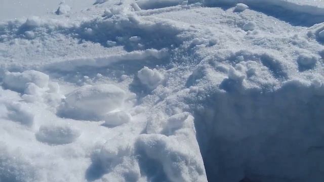 Как перезимовала клубника в Самаре смотреть онлайн