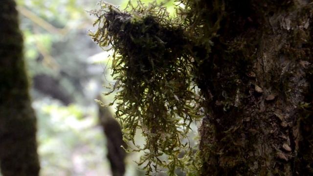 Советы подругам. Муж изменят с подругой. смотреть онлайн