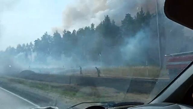 Лесной пожар вдоль трассы А-108 вблизи города Куровское. 27.08.2022 года смотреть онлайн