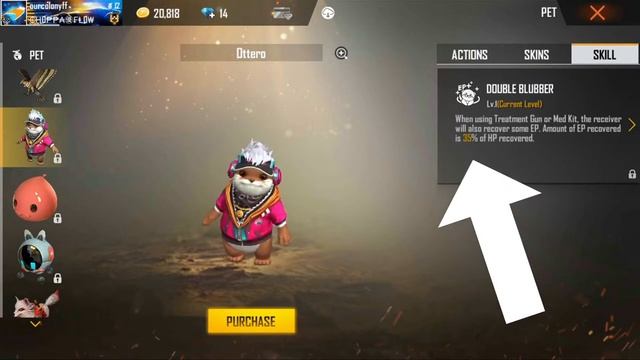 The Top 5 Best Pets in Free Fire смотреть онлайн