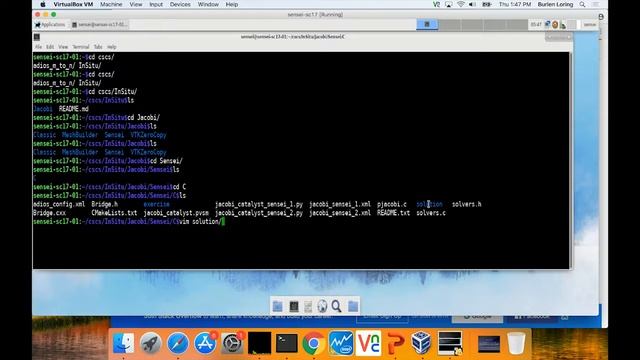 SENSEI + Python смотреть онлайн