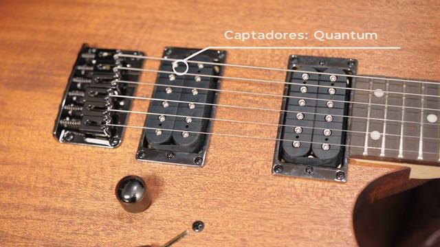 Groover - Guitarra Ibanez RG421MOL смотреть онлайн
