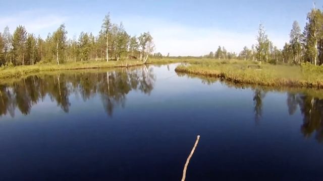 Рыбалка на озёрах Соколье - 3. Всеволожский р-н 19.06.2019 смотреть онлайн