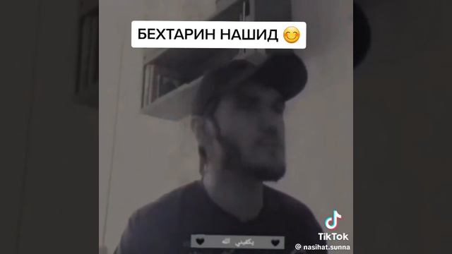 беҳтарин Нашид