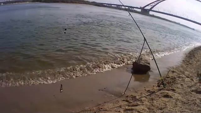 Видео. Рыбалка в заливе и на косе. Река Обь. смотреть онлайн