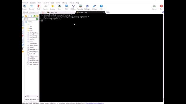 27 Complete Sqoop Training - Running Incremental Import using Append mode смотреть онлайн