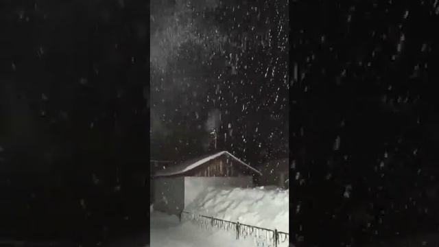 Благодарю за добрые слова и пожелания подписчика нашего канала Людмилу  питомник Кастропуло Крым