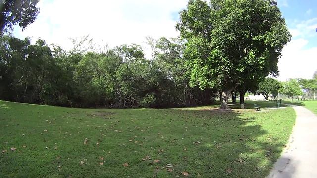 Парк Морнингсайд парк Маями(Morningside park, Miami) part 2 смотреть онлайн