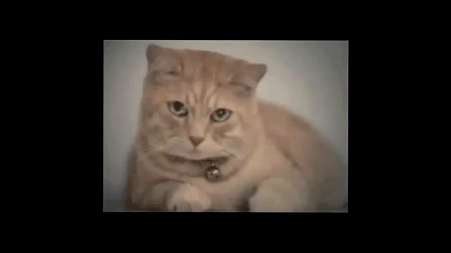 7 причин НЕ СТАТЬ программистом смотреть онлайн