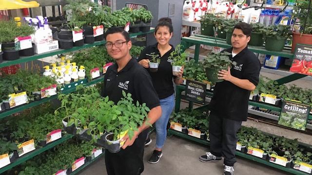 SkillsUSA Program of Work: Flower Box Fundraiser смотреть онлайн