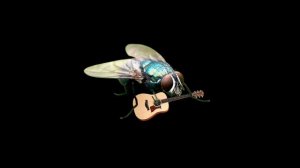 а муха тоже вертолёт но без коробки передач поёт муха да да