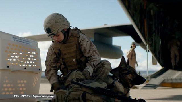 Меган Ливи (Megan Leavey, 2017) смотреть онлайн