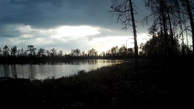 В поисках приключений! смотреть онлайн