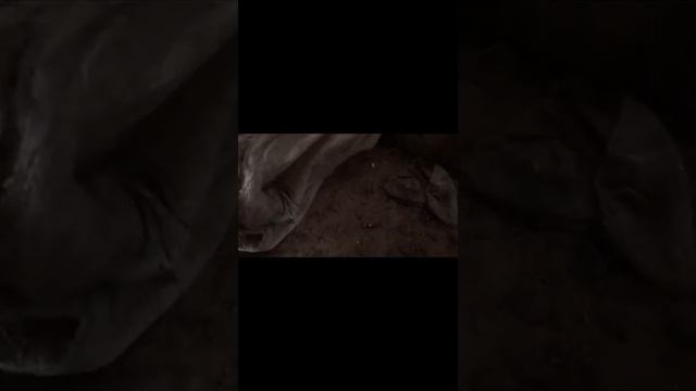 Мой мотоцикл м 72 1956 смотреть онлайн