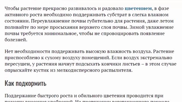 Азистазия Уход в домашних условиях Размножение и пересадка Выращивание из семян смотреть онлайн
