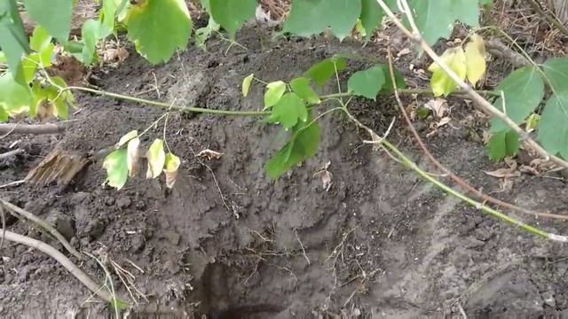 Копаем крупный металл металлоискателем MD-4030 смотреть онлайн