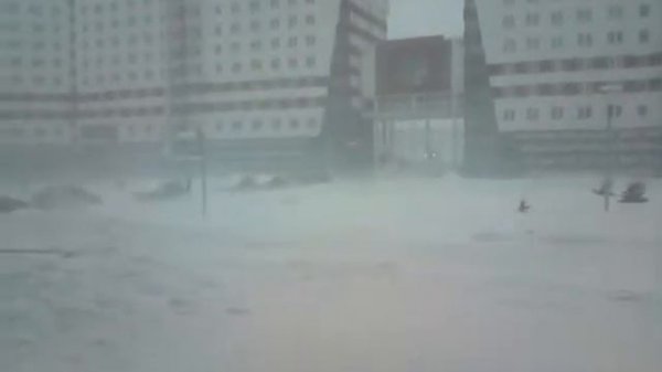 Света белого не видно