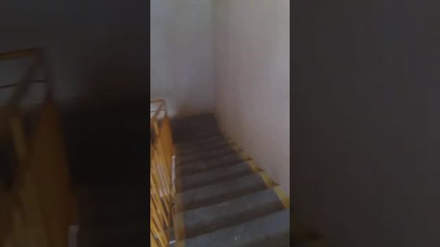 Ходьба по лестнице 18 этажей 2 раза, в 48 лет, 24.06.22г смотреть онлайн