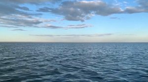 Яровое - курорт посреди алтайской степи.