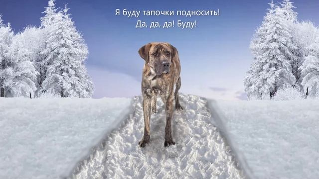 Пехра пёсик-тонкий носик, он удачу всем приносит! Вариант с голосовым озвучиванием смотреть онлайн