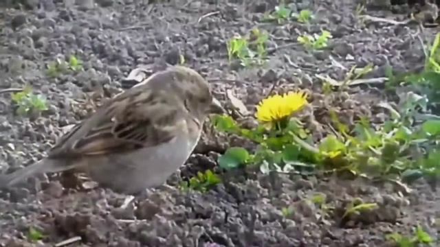 Счастливый день смотреть онлайн