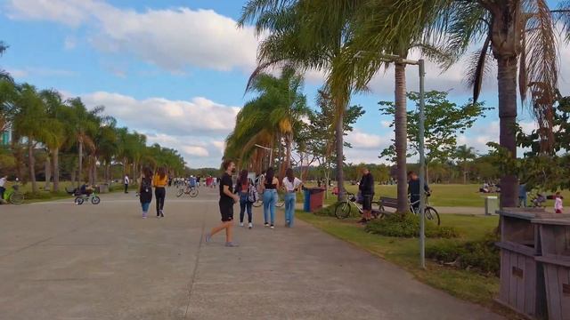 Walking on Villa-Lobos State Park ?? São Paulo, Brazil |【4K】2021 смотреть онлайн