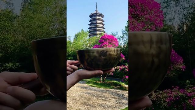 Soothing Sounds Of The Singing Bowl A Meditative Journey Into Calmness