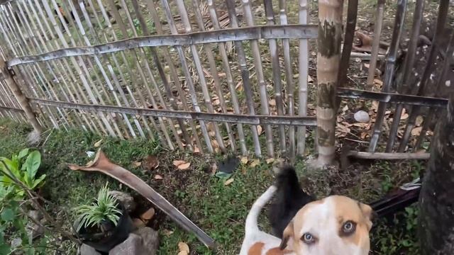 Вся правда о семье Найви / Жизнь выходит из под контроля / Филиппинская свадьба и строим гараж смотреть онлайн