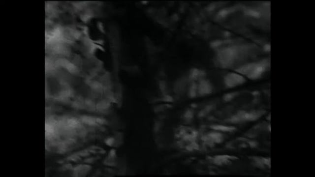 Сказание о Байкале смотреть онлайн