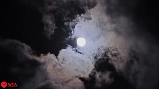 FALL ASLEEP IMMEDIATELY - Melatonin Release - Deep Sleep Music