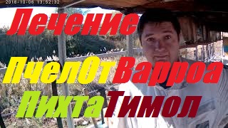 Лечение пчел от Варроатоза.Амитраз, тимол,пихтовое масло.Кочевая пасека Антон-Волгодонск. смотреть онлайн