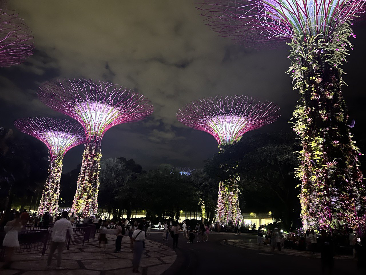 Supertree Observatory Marina Bay Sands. Сингапур. Световое шоу.