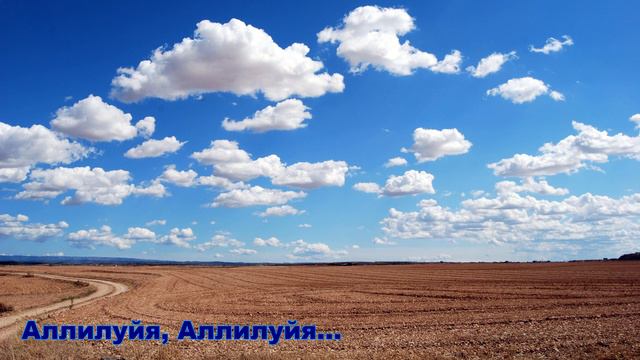 Аллилуйя, Аллилуйя... смотреть онлайн