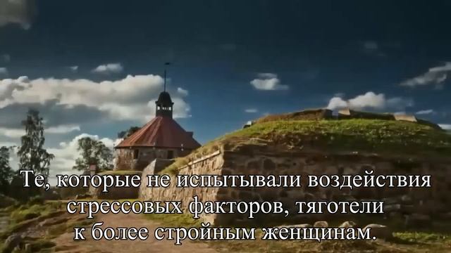 В период стресса мужчины предпочитают полных женщин — Статья смотреть онлайн