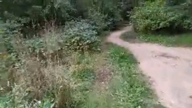 Комментарии по следам стрима про Грома смотреть онлайн