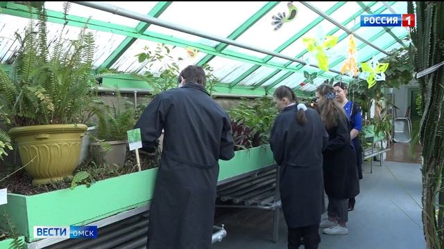 Современная техника появились в 17-ой омской адаптивной школе-интернате смотреть онлайн