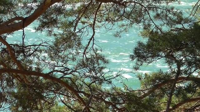 Отключение механизмов старения Для женщин Настрои академика Сытина Г.Н. смотреть онлайн