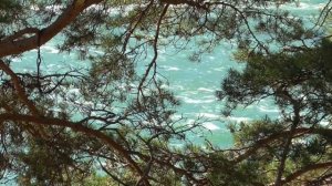 Отключение механизмов старения Для женщин Настрои академика Сытина Г.Н.