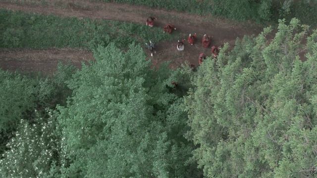 Post dukes куно пумитан смотреть онлайн